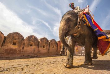 Our Travelling Responsibility