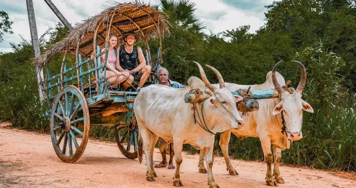 Community Based Tours