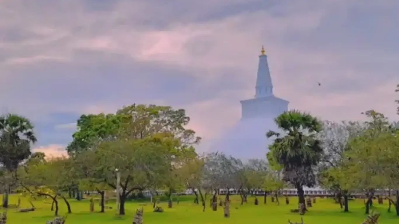 Sri Lanka Essential Budget