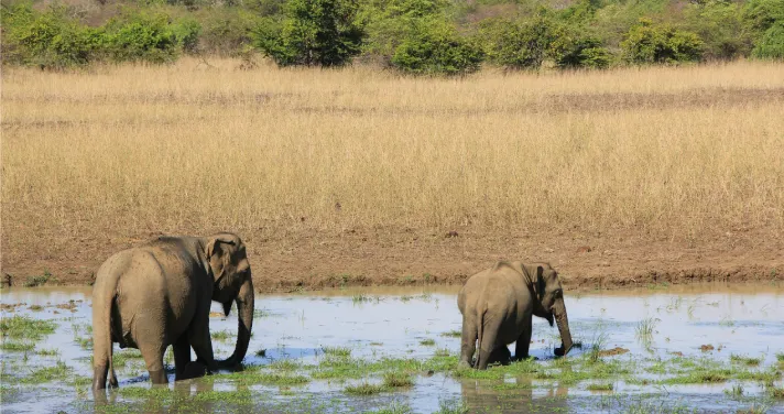 National Parks and Wildlife Reserves