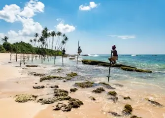 Sri Lanka Essential Budget