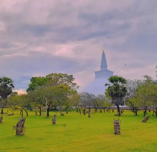 Sri Lanka Essential Budget